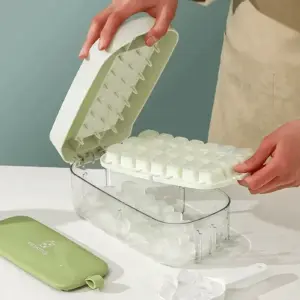 Molde Cubos De Hielo