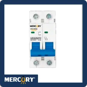 BREAKER RIEL 2P*63A