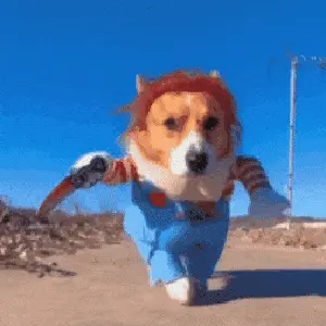 DISFRAZ MASCOTA CHUCKY