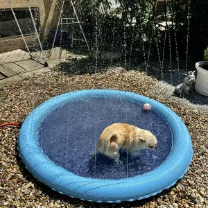 Tapete Aspersor Piscina Juguete Rociador