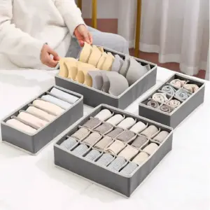 Set Organizador Ropa Interior X 4 p