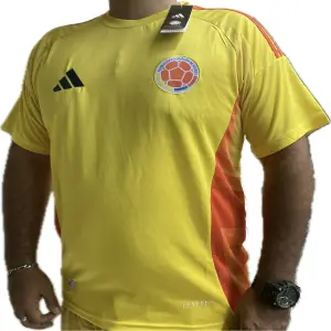 Camiseta COLOMBIA Hombre 2024 Importada