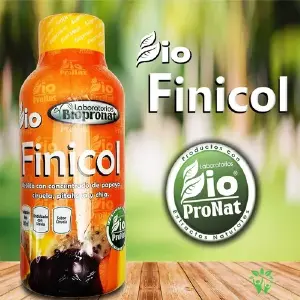 Suplemento nutricioFinicol 500 ML jarabe