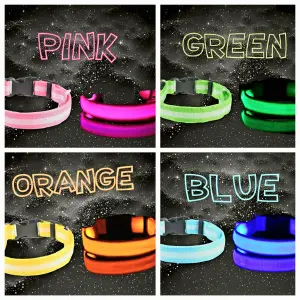 COLLAR LED NOCTURNO