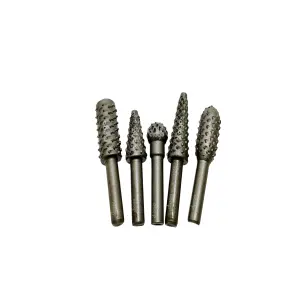 Juego 5 Piezas Fresa Rotativa Para Talla