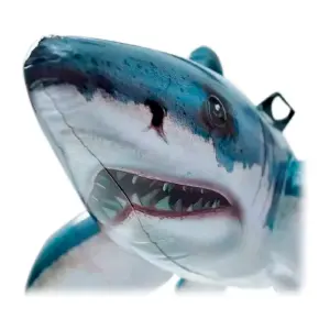Inflable Con Forma De Tiburón Para Pisci