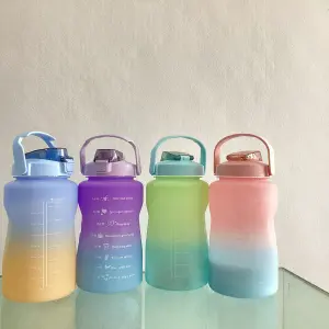 Termo 2L pintado
