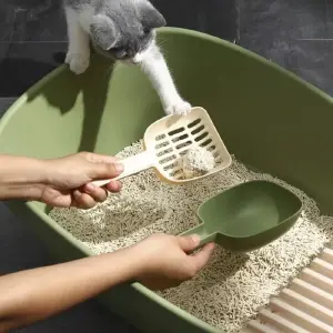 Arenero para gato tina