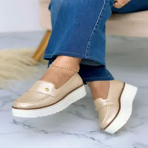 DS2080 ANI