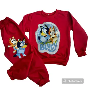 Sudadera Niños Bluey y Bingo