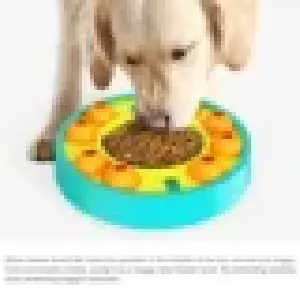 PLATO INTERACTIVO COMIDA LENTA PERRO