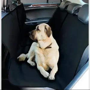 Forro Para Mascota Protector Cojineria