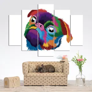 PERRO 01