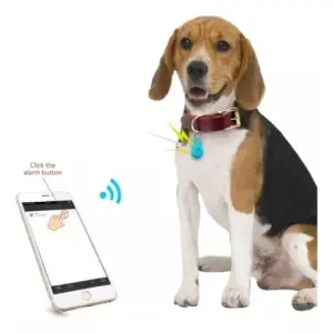 Chip Rastreador Bluetooth Localizador Ma