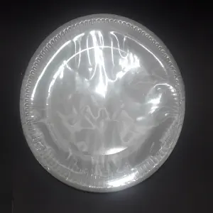 PLATO CARTON PLATEADO MATE 23CM