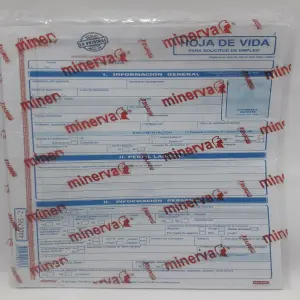 HOJA DE VIDA MINERVA 10-03  PAQ X 20