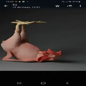 computador