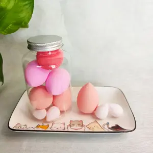 Esponja De Maquillaje Tamaños Varios
