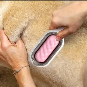 Cepillo Removedor de pelos