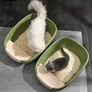 Arenero Para Gatos 61cm Mediana Economic