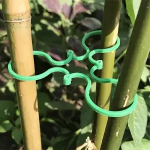 25 Clips de Soporte para Plantas: El Sistema Perfecto para Tus Plantas Trepadoras - Clips de Soporte para Plantas