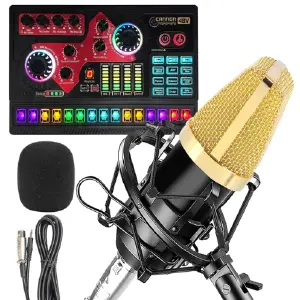 Microfono Condensador Q-mic3 + Tarjeta