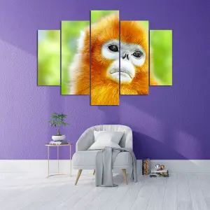 ANIMALES DE LA SELVA 10