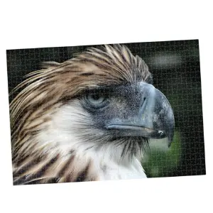 ROMPECABEZAS 1000 PIEZAS AGUILA