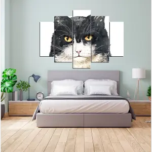 GATO 06