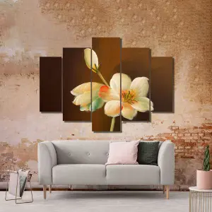 FLORES 71