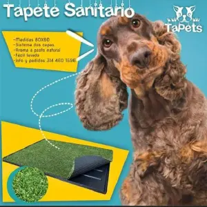 Tapete grande de entrenamiento mascotas