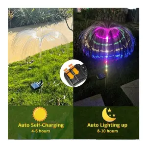2 Palmas Solares Multicolor