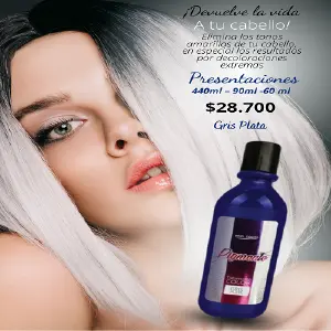 PIGMENTO PLATA X440ML: Brillo Duradero para tus Proyectos - PIGMENTO PLATA X440ML