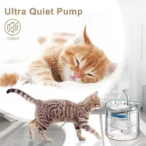 fuente de agua para gatos