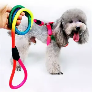 Correa O Collar Con Pechera Para Perros