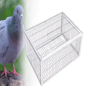 Trampa de Jaula Segura y Eficaz para Aves y Roedores - Trampa tipo jaula para aves y roedores