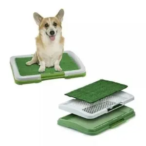 Tapete de Entrenamiento para Cachorros: ¡El Secreto para un Hogar Impecable! - Tapete Entrenamiento Perros Puppy Potty