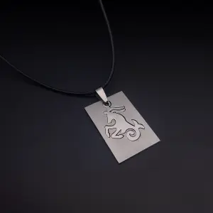 Collar Signo Zodiacal: Elegancia y Estilo Personalizado - Collar Signo Zodiacal Placa Acero + Estu