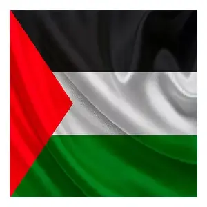 Bandera Palestina Grande 1.50x90cm: Muestra tu Orgullo con Estilo - Bandera Palestina 1.50x90cm Grande