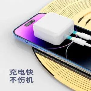 Cargador Rápido USB-C PD 50W con Cable Tipo-C - CARGADOR CON CABLE C-C 2PD 50W RAM-A1750