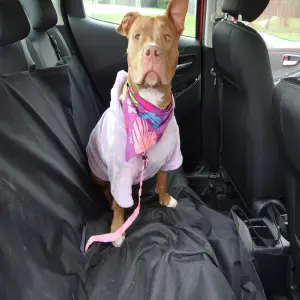 Protege Tu Coche y a Tu Mascota con Nuestro Forro Premium para Asiento y Puertas - Forro Silla+puertas Carro Perro