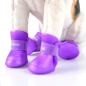 Zapatos y Lima Pulidora para Perros: ¡Cuidado Completo para tus Patitas! - Zapatos de perro + Lima pulidora pet