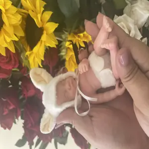 Mini Bebé Reborn de Silicona Sólida: El Compañero Perfecto - Mini bebe reborn silicona sólida