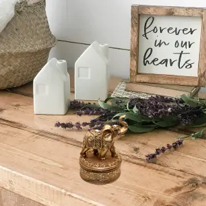 Elefante Cofre Joyero: Elegancia y Organización para tus Tesoros - Elefante Cofre Joyero