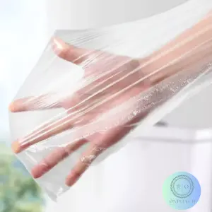 Protector Higiénico para Inodoro: Tu Aliado de Frescura y Limpieza - Protector Para El Innodoro