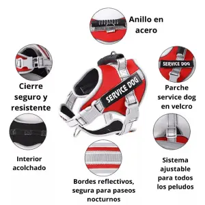 Pechera Ultra Resistente para Perros: ¡El Arnés Perfecto para Paseos Seguros y Cómodos! - Pechera Ultra Resistente Dog Service