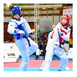 Guantes de Taekwondo y Artes Marciales Premium - Guantes Taekwondo Artes Marciales M