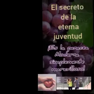 Resveratrol 1000ml: Tu Elixir de Juventud y Bienestar - Resveratrol suplementonutricional 1000ml