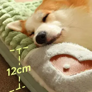 Cama para Mascotas: El Refugio Perfecto para tu Amigo Peludo - Cama para mascotas