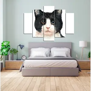 GATO 14: Revoluciona tu Experiencia Felina - GATO 14